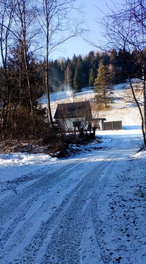 Villa Lesny Zaulek Muszyna Esterno foto