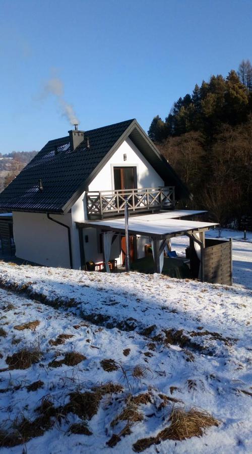 Villa Lesny Zaulek Muszyna Esterno foto