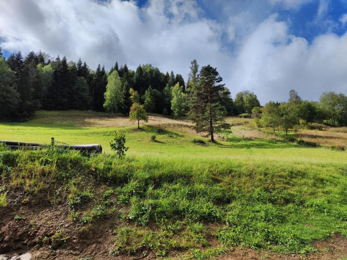 Villa Lesny Zaulek Muszyna Esterno foto